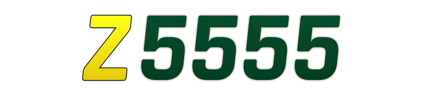 z5555 Logo